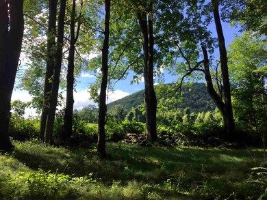 465 Abbott Rd, Brattleboro, VT 05301 - photo 4