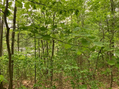 Lot 8 Somo Ridge Dr, Tomahawk, WI 54487 - photo 7