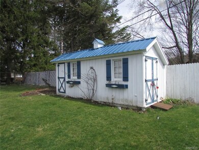 Shed for storing lawn mower, garden tools.