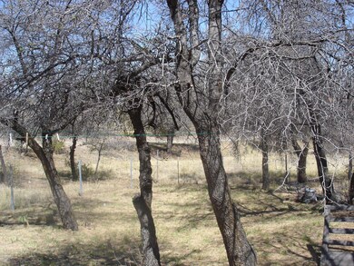 Trees and Shrubs