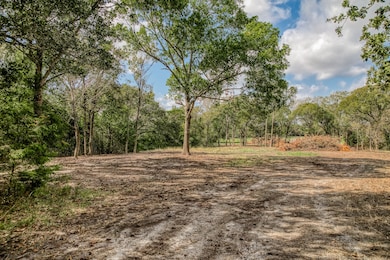 Tract 5 Sun Oil Rd, Brenham, TX 77833 - photo 3