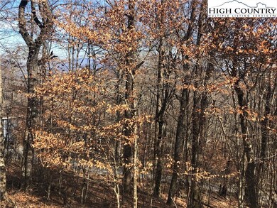 Potential view of ridge in distance.