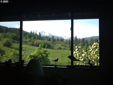 35901 Valley View Ln, Halfway, OR 97834 - photo 2