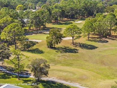 5453 Legend Hills Ln, Spring Hill, FL 34609 - photo 2