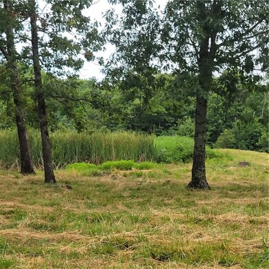 Pond