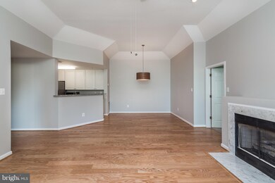 10738 Symphony Way, Columbia, MD 21044 - photo 3