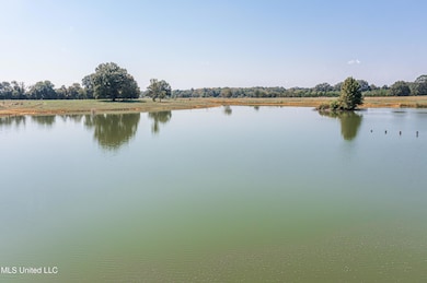 295 Posey Ln, Vaughan, MS 39179 - photo 2