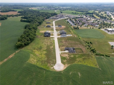 553 Legacy Dr, Waterloo, IL 62298 - photo 2