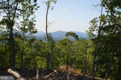 0 Deep Spring Rd unit WVGT102864, Dorcas, WV 26847 - photo 5