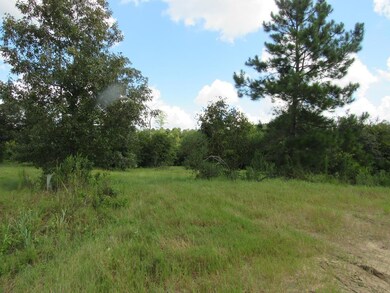 00 Mill Branch Cir unit 50-58, Douglas, GA 31535 - photo 2