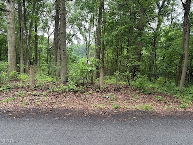 2077 Coleman Ave, Akron, OH 44312 - photo 2