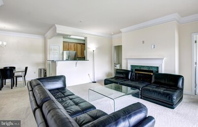 11306 Westbrook Mill Ln unit 202, Fairfax, VA 22030 - photo 5