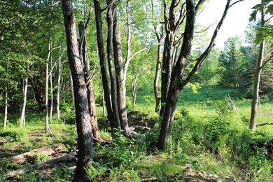 0 Old Stage Rd unit 73118454, Ashfield, MA 01330 - photo 7