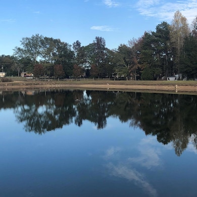 249 Geron Williamson Rd, Lyons, GA 30436 - photo 4