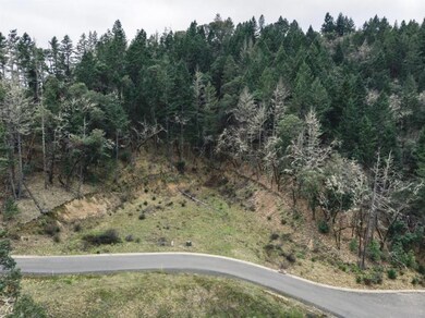 474 View Top Dr, Grants Pass, OR 97527 - photo 4