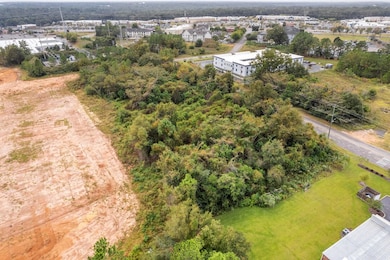 0 Plum Rd, Dothan, AL 36303 - photo 7