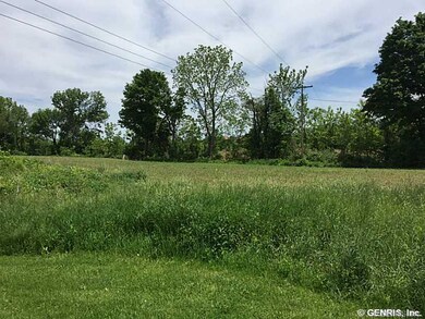 Backyard.