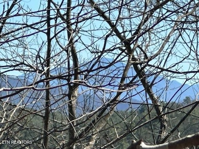 864 Stonegate Way, Townsend, TN 37882 - photo 3