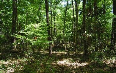 TBD Kansas Ct, Fort White, FL 32038 - photo 2