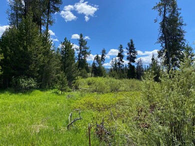 Level, Gorgeous Views & Wooded