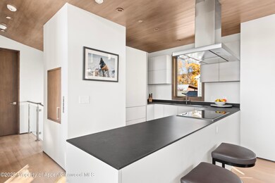 522 Spruce St, Aspen, CO 81611 - photo 6