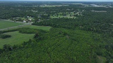 3130 Hwy 71 unit LotWP001, Marianna, FL 32446 - photo 7