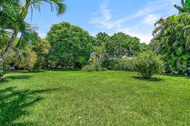 Back yard/lot