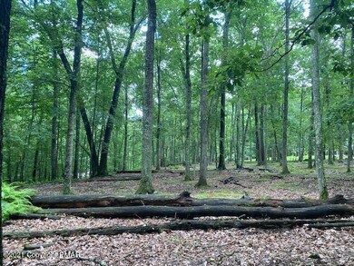 114 Falling Brook Ct, Blooming Grove Township, PA 18428 - photo 3