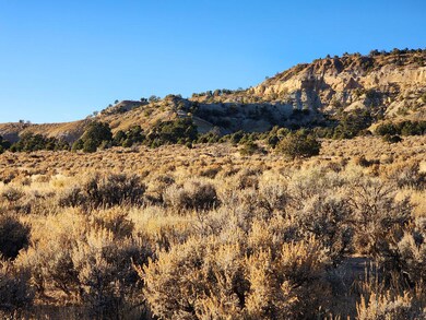 0 Banco Rd, La Jara, NM 87027 - photo 6