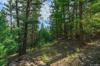 360 Hi Meadow Dr unit 21, Bailey, CO 80421 - photo 5