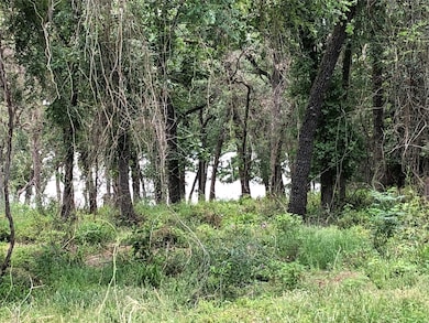 Lot 8 Lcr 777, Groesbeck, TX 76642 - photo 2