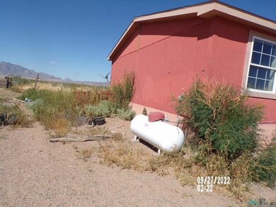 9740 Abeto Rd SE, Deming, NM 88030 - photo 6