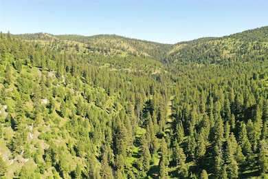 6 Tract Garnet Range, Clinton, MT 59825 - photo 3