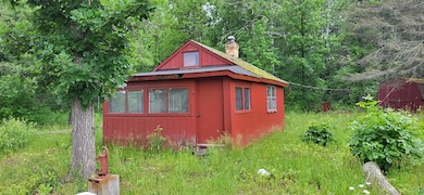 TBD 40 Crane Lake, Crane Lake, MN 55725 - photo 6