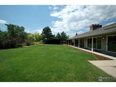back yard