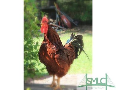 0 Old Tusculum Rd, Springfield, GA 31329 - photo 7