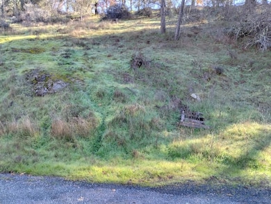 12288 Kenneth Ct, Alta Sierra, CA 95949 - photo 4