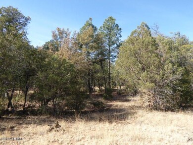 3 ponderosa pines on boundary with Fores