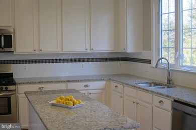 10029 Naughton Ct, Bristow, VA 20136 - photo 6