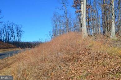 LOT 29 Comforter Ln, North River, VA 22645 - photo 2