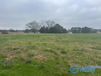 TRACT 8 Alabama 99, Elkmont, AL 35620 - photo 3