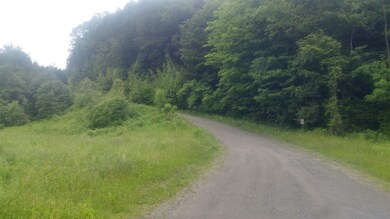 0 Chandler Rd, Northfield, VT 05663 - photo 3