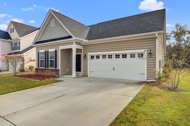 122 Blackwater Way, Moncks Corner, SC 29461 - photo 4