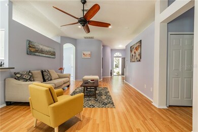 339 Tavernier Dr, Oldsmar, FL 34677 - photo 4