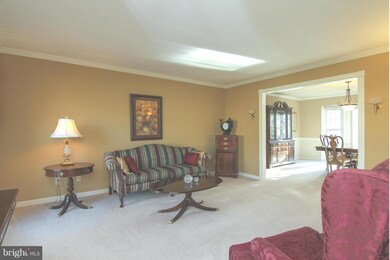 126 Northampton Blvd, Stafford, VA 22554 - photo 6