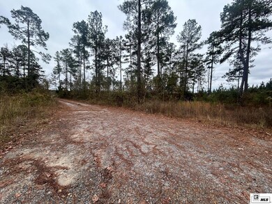 0 Caples Rd unit 217340, B, LA 71292 - photo 3