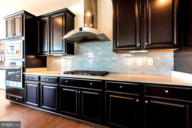 41933 Cushendall Terrace, Aldie, VA 20105 - photo 7