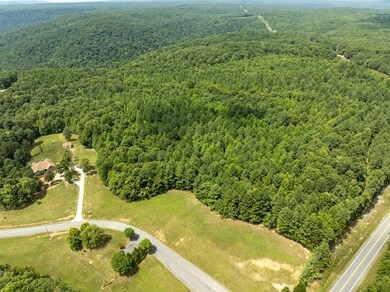 0 Thunder Ridge Dr unit RTC2970742, South Pittsburg, TN 37380 - photo 7