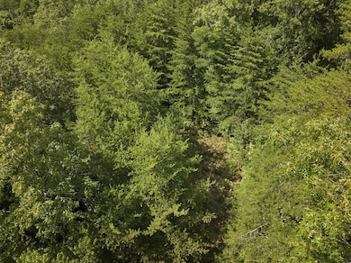 102 Canvas Back Ct, Whittier, NC 28789 - photo 3