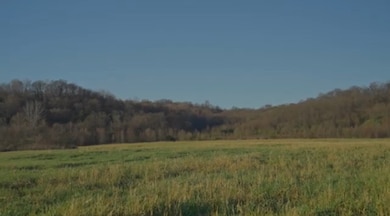 1 Hicks Ln W, Columbia, TN 38401 - photo 5